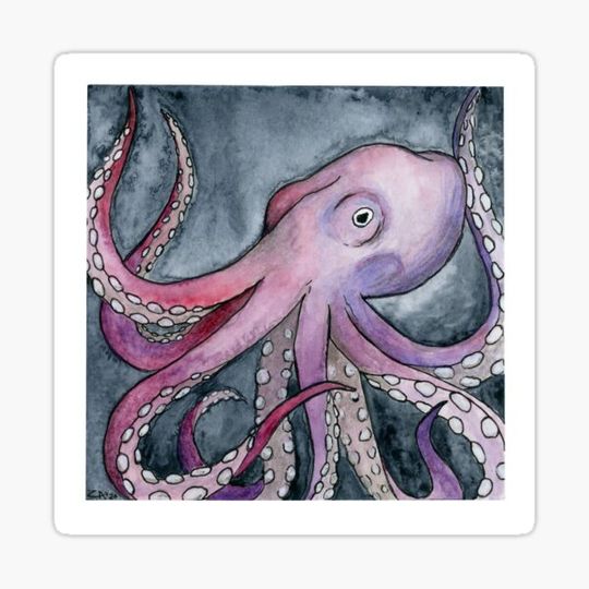 Discover Octopus