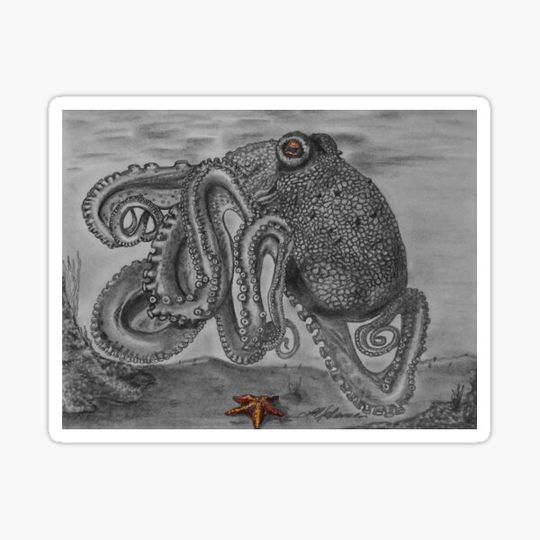 Discover Pacific Octopus with Starfish
