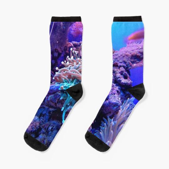 Discover Underwater world
