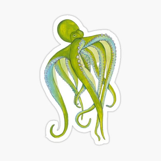 Discover Olie Octopus