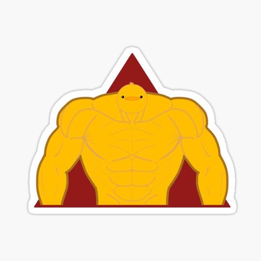 Discover Muscle Duck °=°