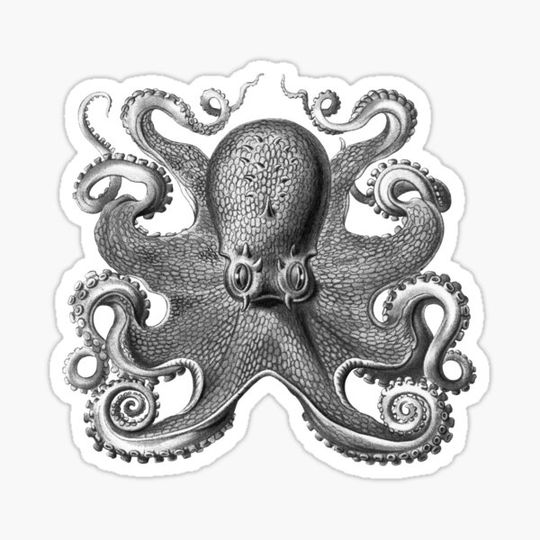 Discover Octopus Squid Kraken Art Tentacles Seashell Deep Sea Ocean Creatures Lover (Black & White) - Octopus