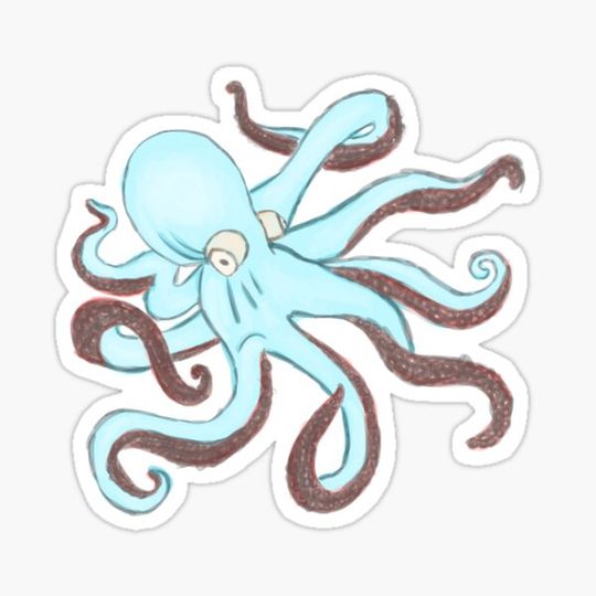 Discover Rough octopus, colored sketch