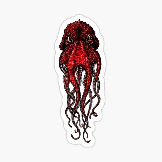 Discover Octopus