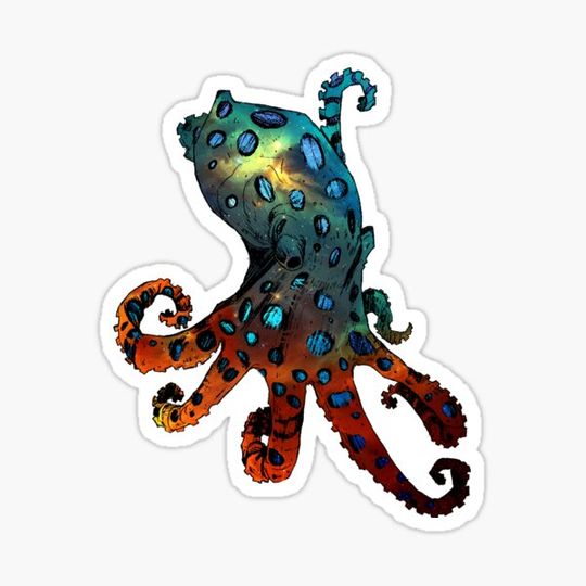 Discover Galaxy  Octopus