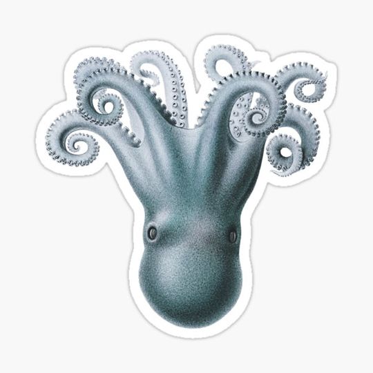 Discover Shimmery Blue  Upside-Down Octopus