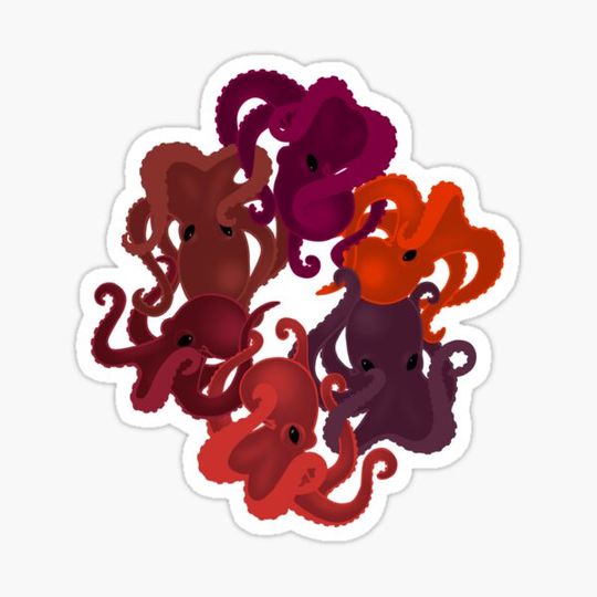 Discover Octopattern
