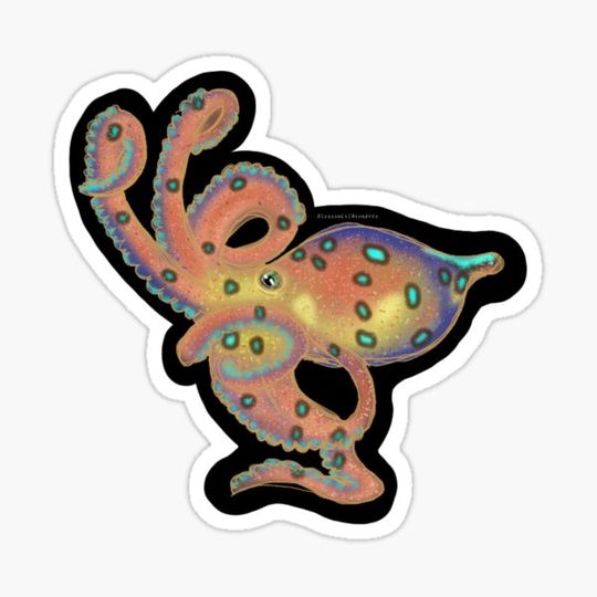 Discover Deep Sea Wonder