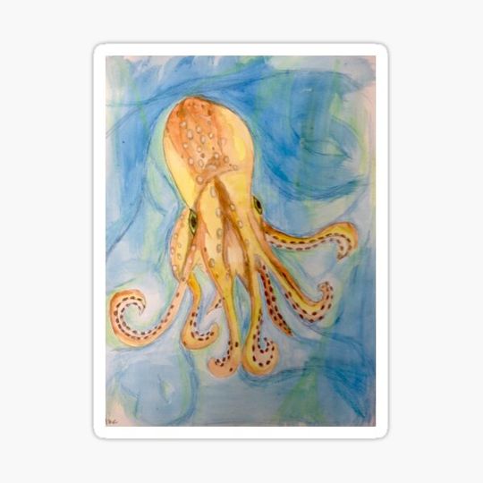 Discover Octopus