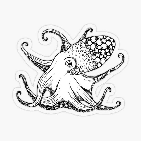 Discover Octopus Buddy