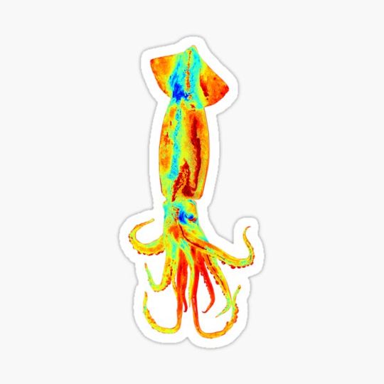 Discover Squid Heatmap - Mollusc