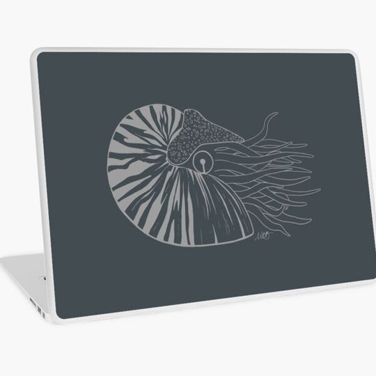 Discover Nautilus - Grey