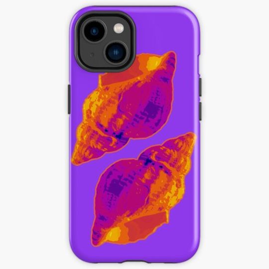 Discover Shells