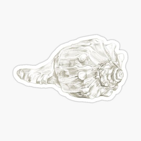 Discover Shell