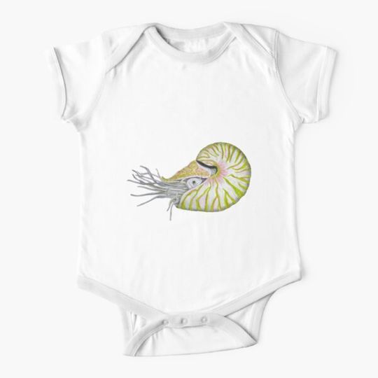 Discover Nautilus version 6