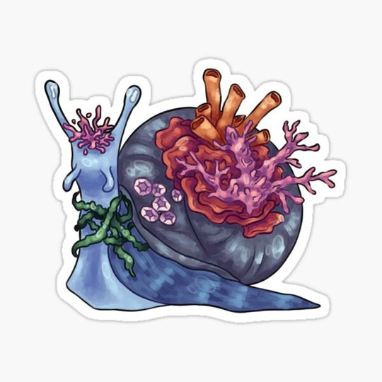 Discover Sea Snail