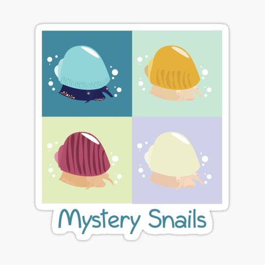 Discover Mystery Snails