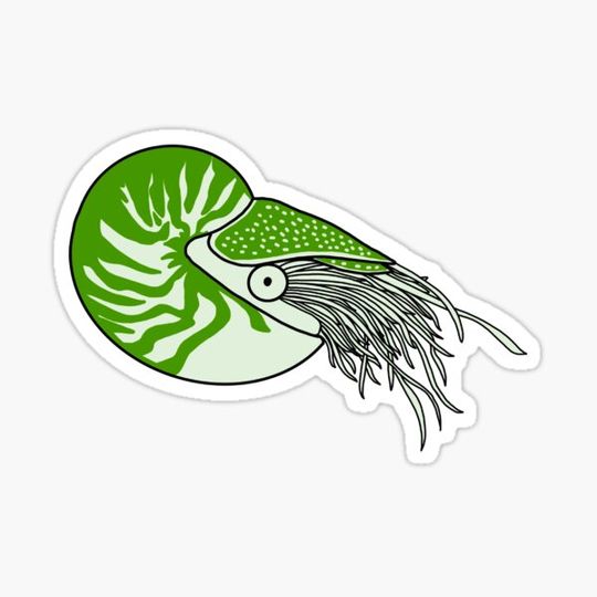 Discover Nautilus Green