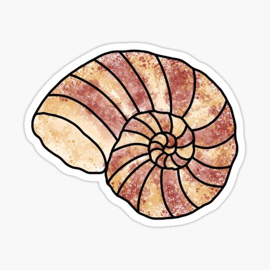 Discover Water color sea shell