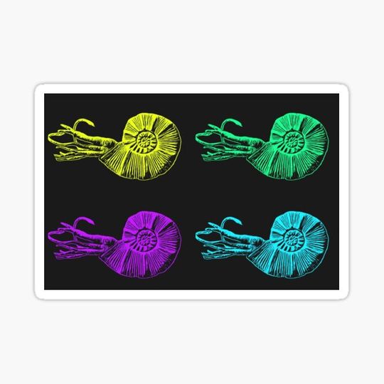 Discover Nautilus