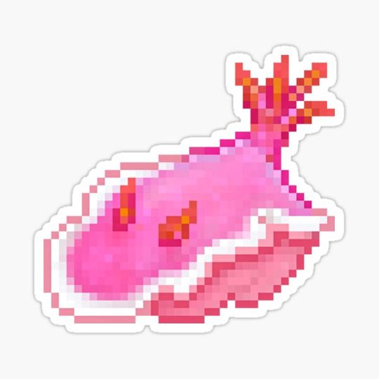 Discover Sea Slug