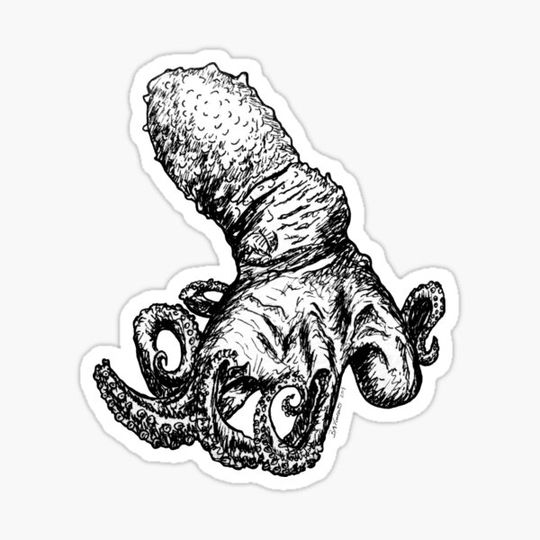 Discover Octopus bimaculatus, Verrill's two-spot Museum specimen sketch (pen and ink), white background