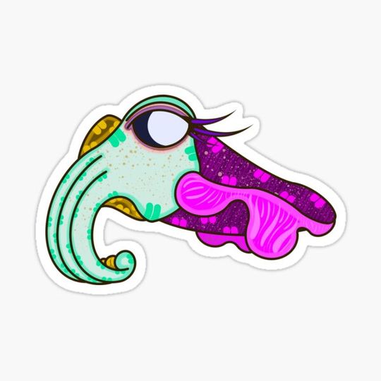 Discover cuddly cuttlefish (because, let's make the obvious joke)