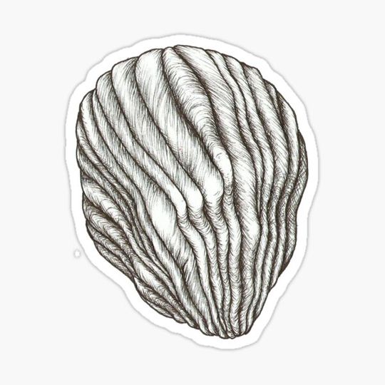 Discover Knotface