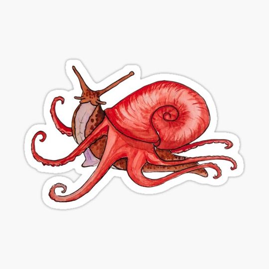 Discover Octopus snail