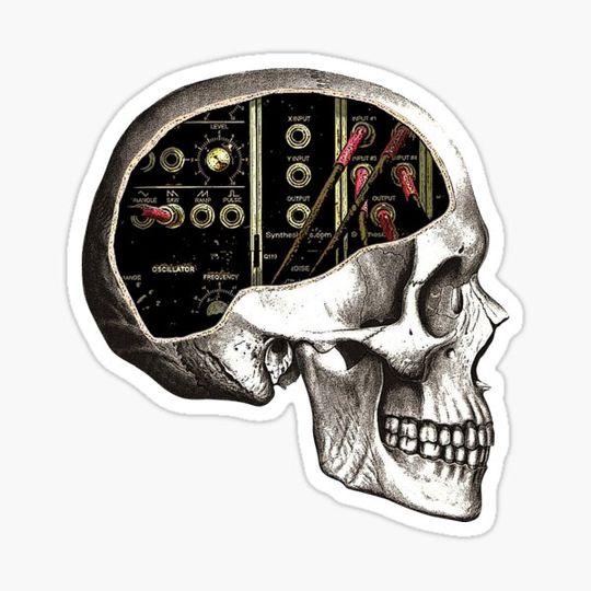 Discover Analog Modular Synthesizer Skull for Synth Nerd