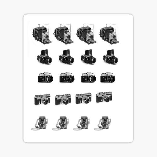 Discover Vintage Camera Collection
