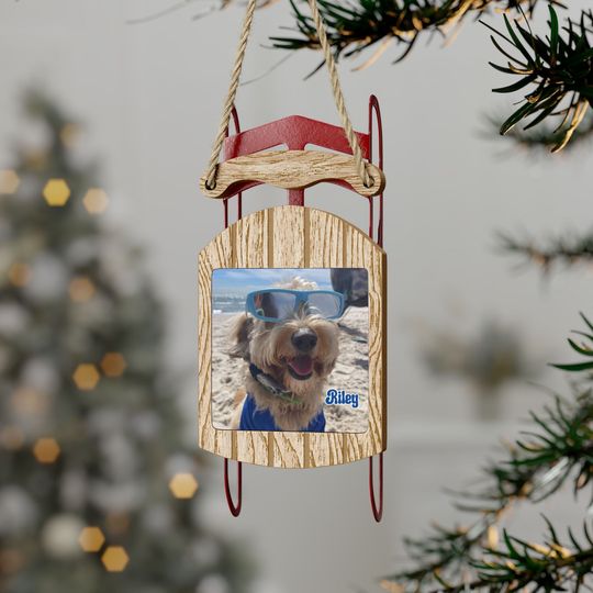 Discover Custom Photo Ornament, Personalized Picture Sled Ornament With Name