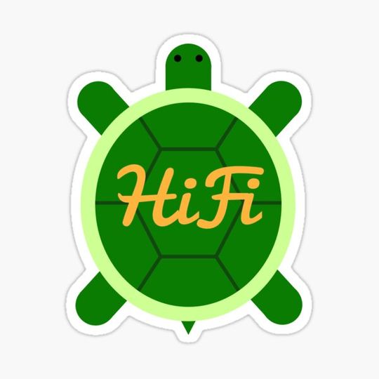 Discover HiFi Turtle Modern Logo