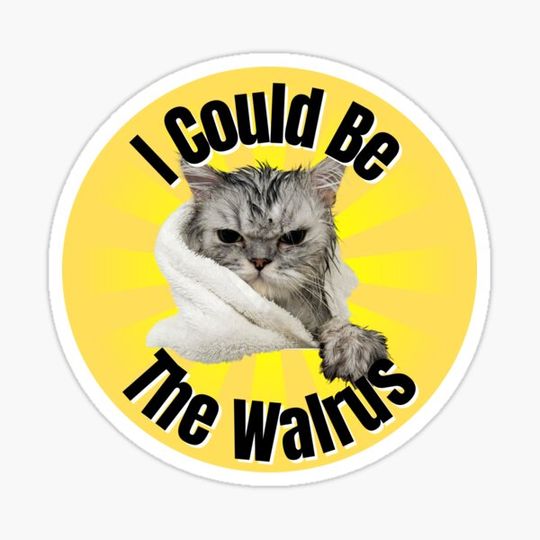 Discover I Could be the Walrus
