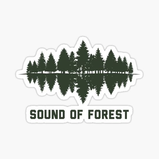 Discover The Sound of Forest