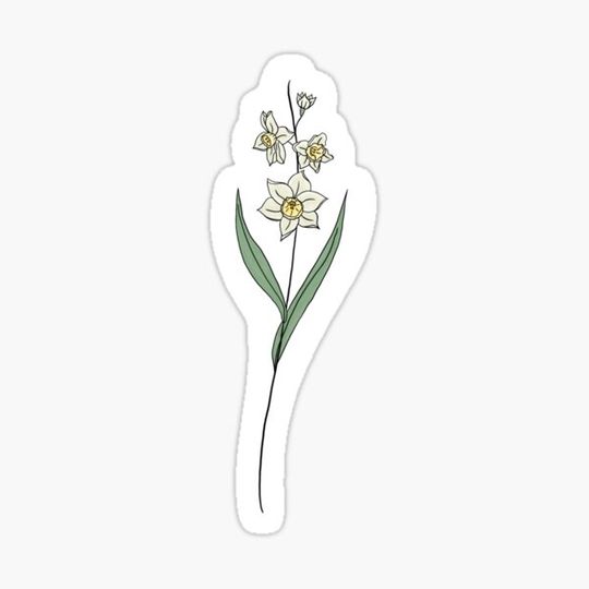 Discover December Birth Month Flower | Narcissus | Color