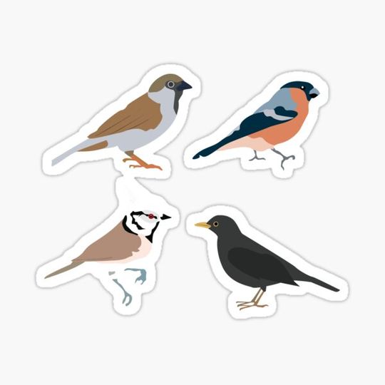 Discover sticker set birds_3