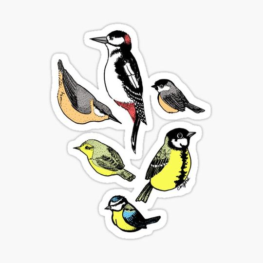 Discover Six little birds: Color request from grandma