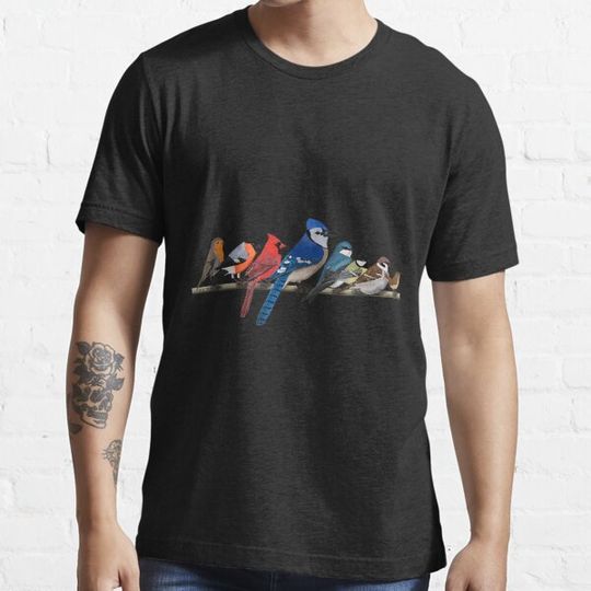 Discover Garden Birds Blue Jay Bullfinch Ornithologist Biologist
