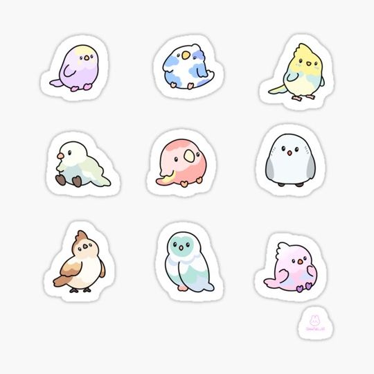 Discover birds pack