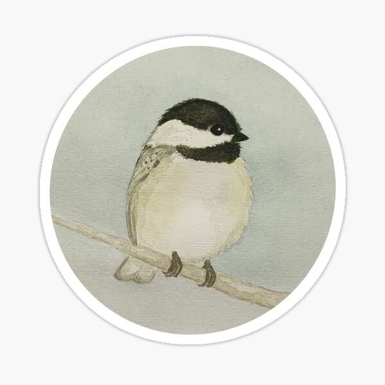 Discover Chickadee