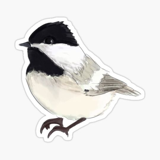 Discover Robin Christmas Bird Watercolor Holiday Mood Woodland Animal