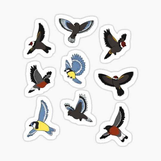 Discover British Bird sticker pack