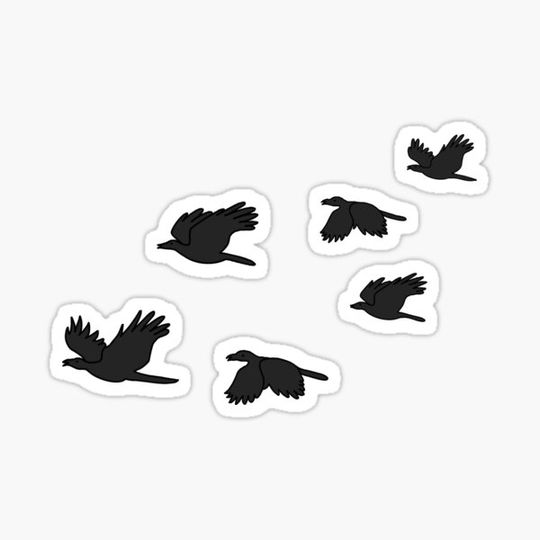 Discover Six flying crows