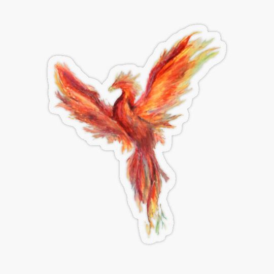Discover Phoenix