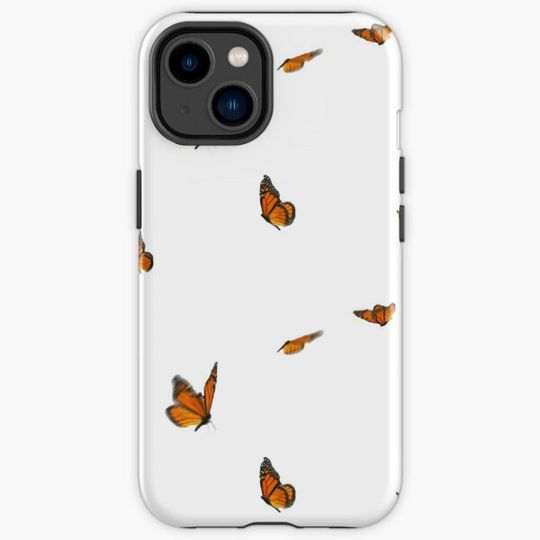 Discover Butterflies