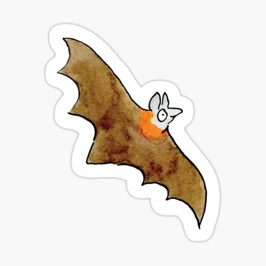 Discover Grey-headed Flying Fox - Raising funds for Bat Conservation and Rescue Qld. Inc.