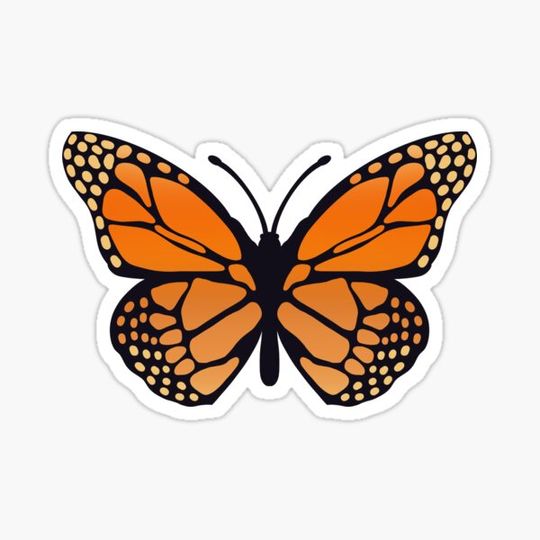 Discover Monarch Butterfly