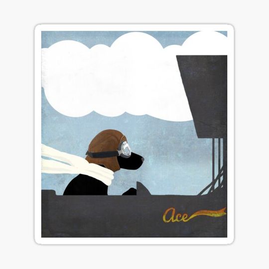 Discover Black Labrador stunt pilot flying ace