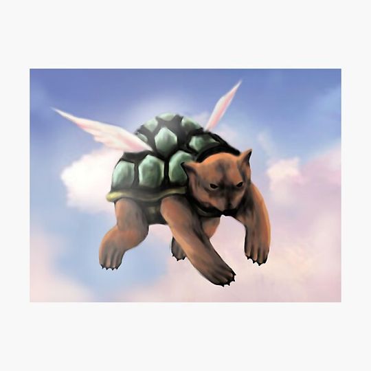 Discover Flying Turtle Bear
